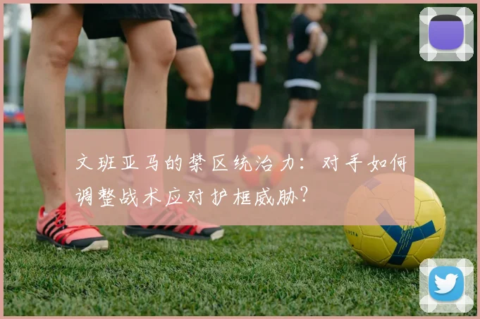 文班亚马的禁区统治力：对手如何调整战术应对护框威胁？