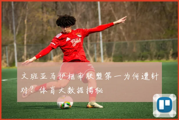 文班亚马护框率联盟第一为何遭针对?体育大数据揭秘